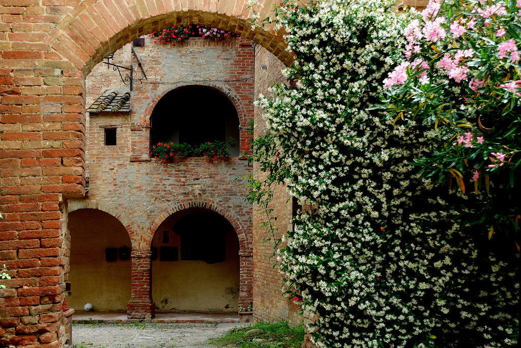 Agriturismo Castello Saltemnano Buonconvento Exterior photo