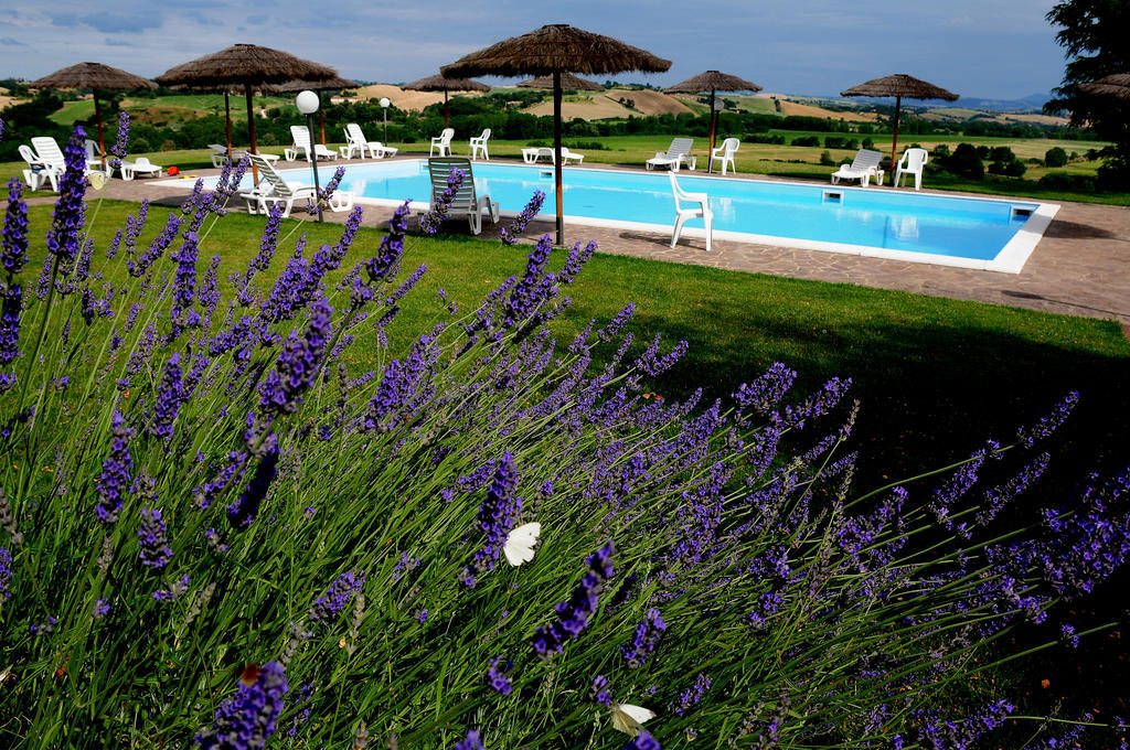 Agriturismo Castello Saltemnano Buonconvento Exterior photo