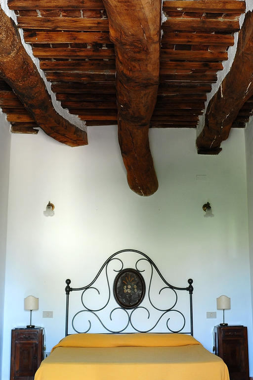 Agriturismo Castello Saltemnano Buonconvento Room photo