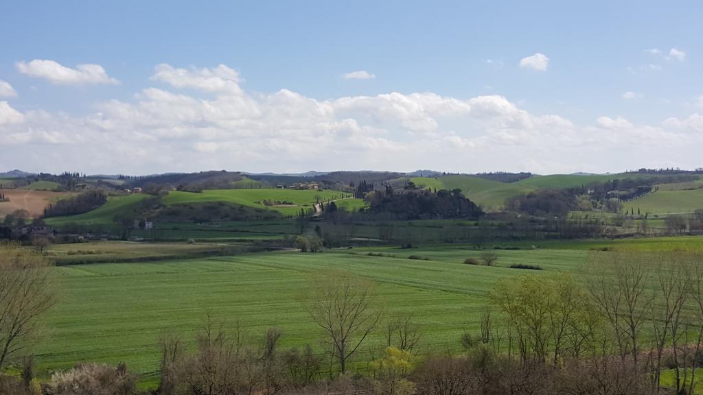 Agriturismo Castello Saltemnano Buonconvento Exterior photo